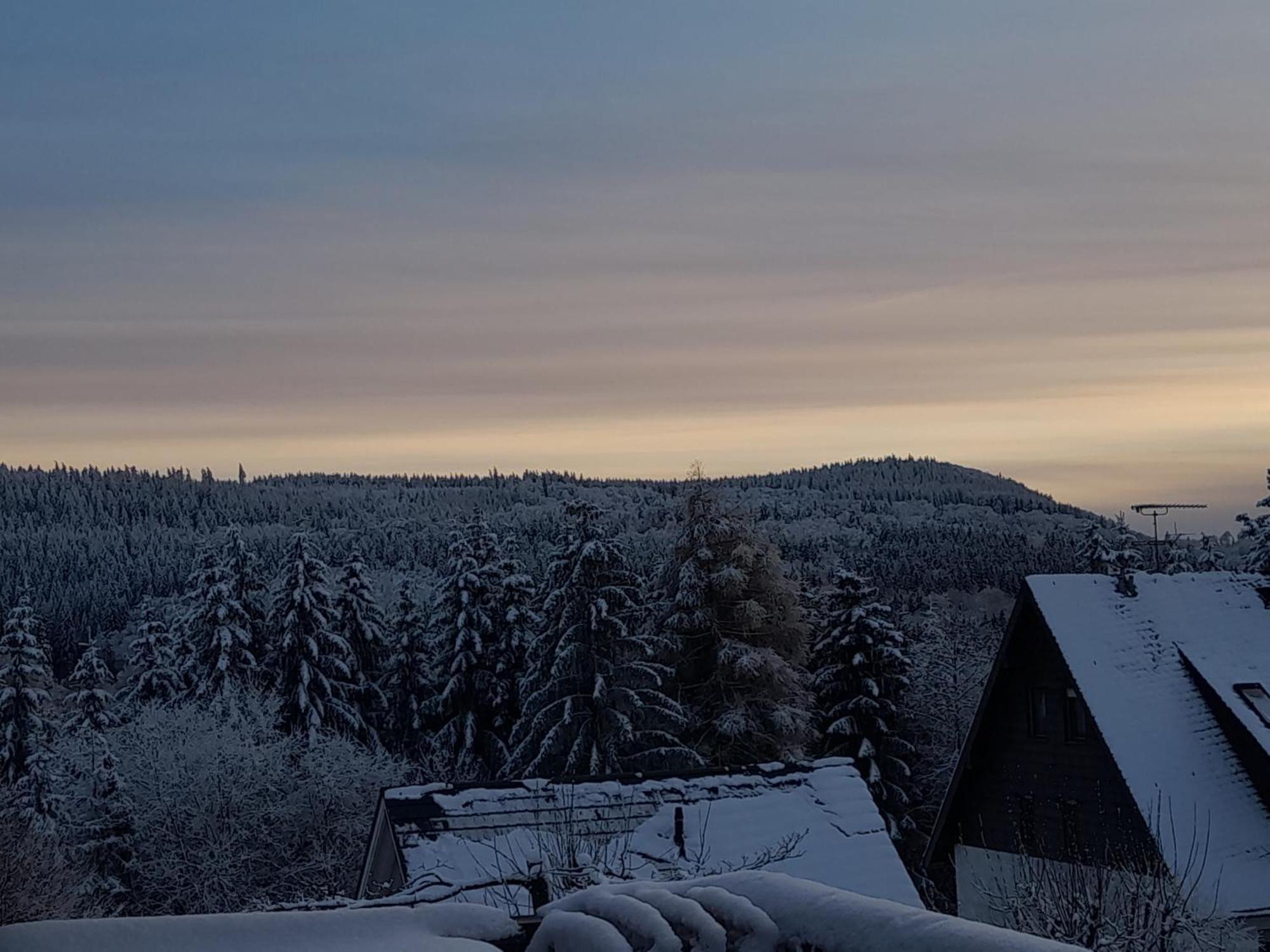 Fewo Naturgetreu Medebach Exterior foto